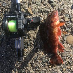 お昼まで穴釣り